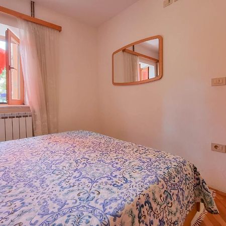 Valentino Apartment Novigrad  Exterior photo