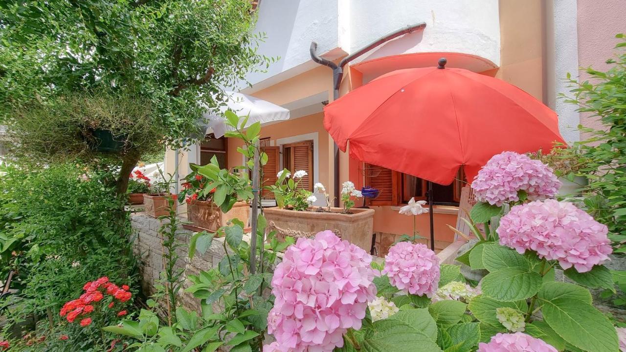 Valentino Apartment Novigrad  Exterior photo
